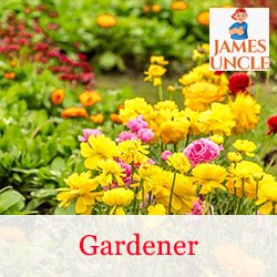 Gardener Mr. Suvojit Ghosh in Panchberia